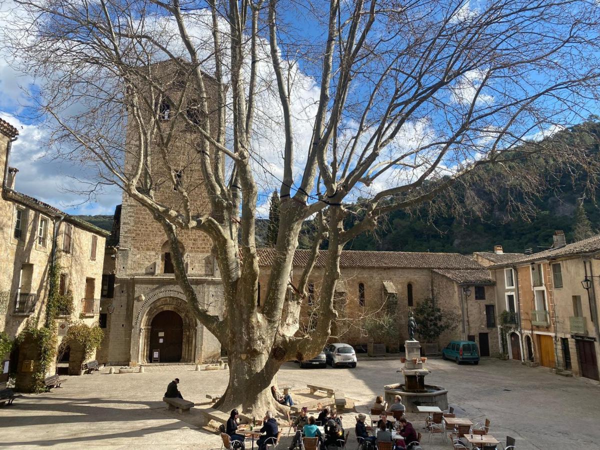 Maclenfa: Charmant Studio Au Coeur De L'Herault. سانت-غيلام-لو-ديزرت المظهر الخارجي الصورة